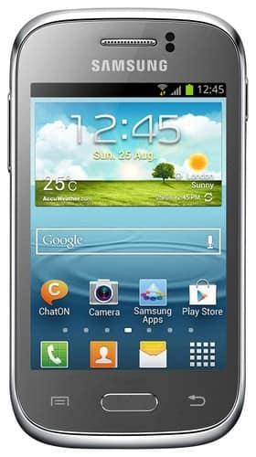 Samsung Galaxy Young Cell Phone (Unlocked) Silver S6310 SILVER - Best Buy