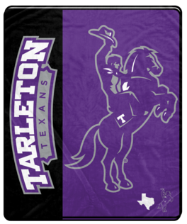 Pegasus - Tarleton State Texans 50" x 60" Endzone Ultra Soft Throw Blanket - Multicolor