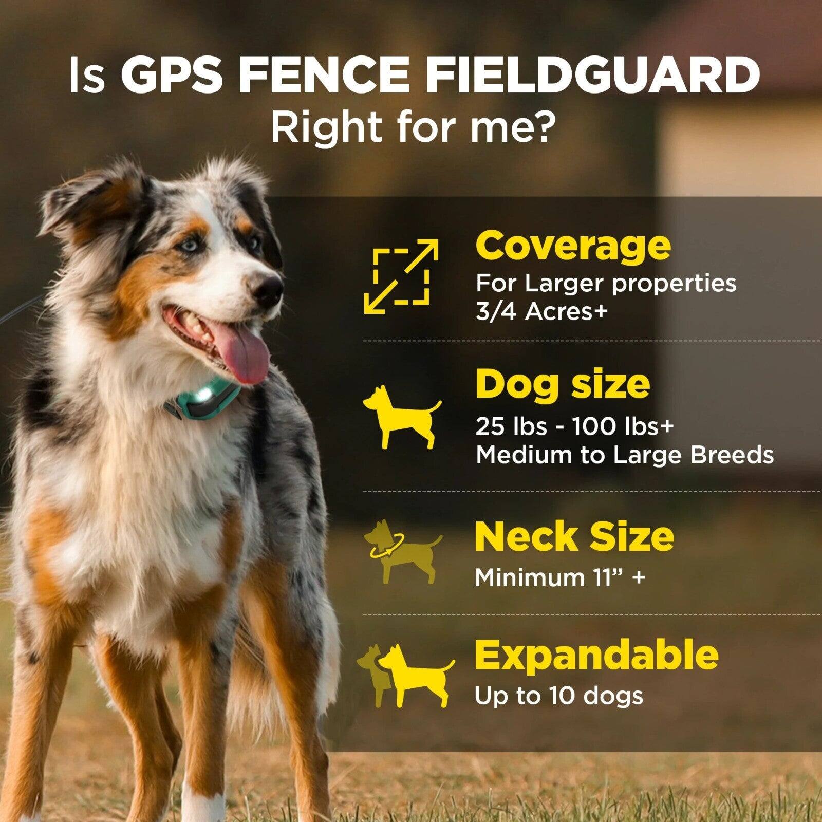 Is GPS FENCE FIELDGUARD Right for me?

Coverage  
For Larger properties  
3/4 Acres+

Dog size  
25 lbs - 100 lbs+  
Medium to Large Breeds

Neck Size  
Minimum 11" +

Expandable  
Up to 10 dogs