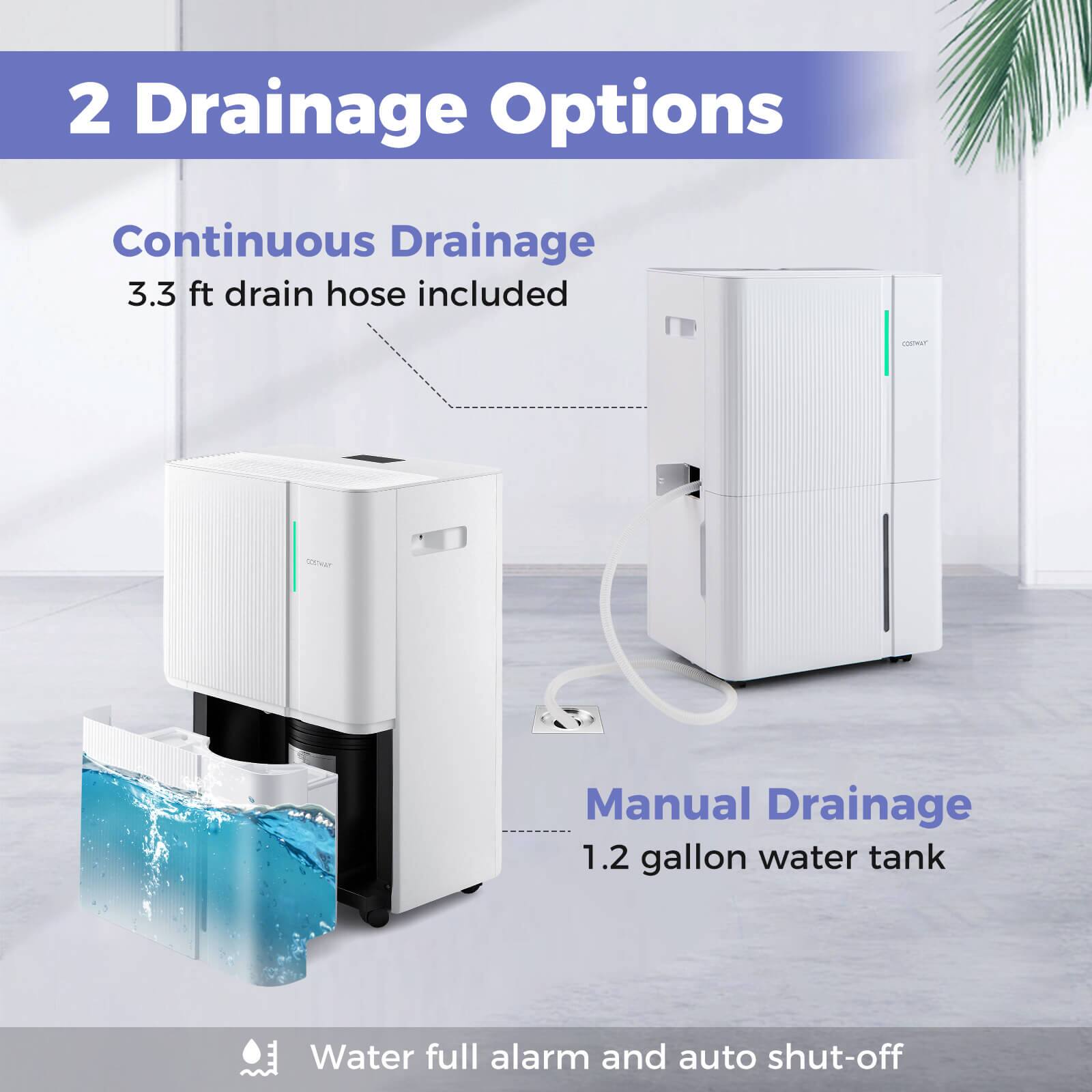 2 Drainage Options

Continuous Drainage  
3.3 ft drain hose included

Manual Drainage  
1.2 gallon water tank

Water full alarm and auto shut-off