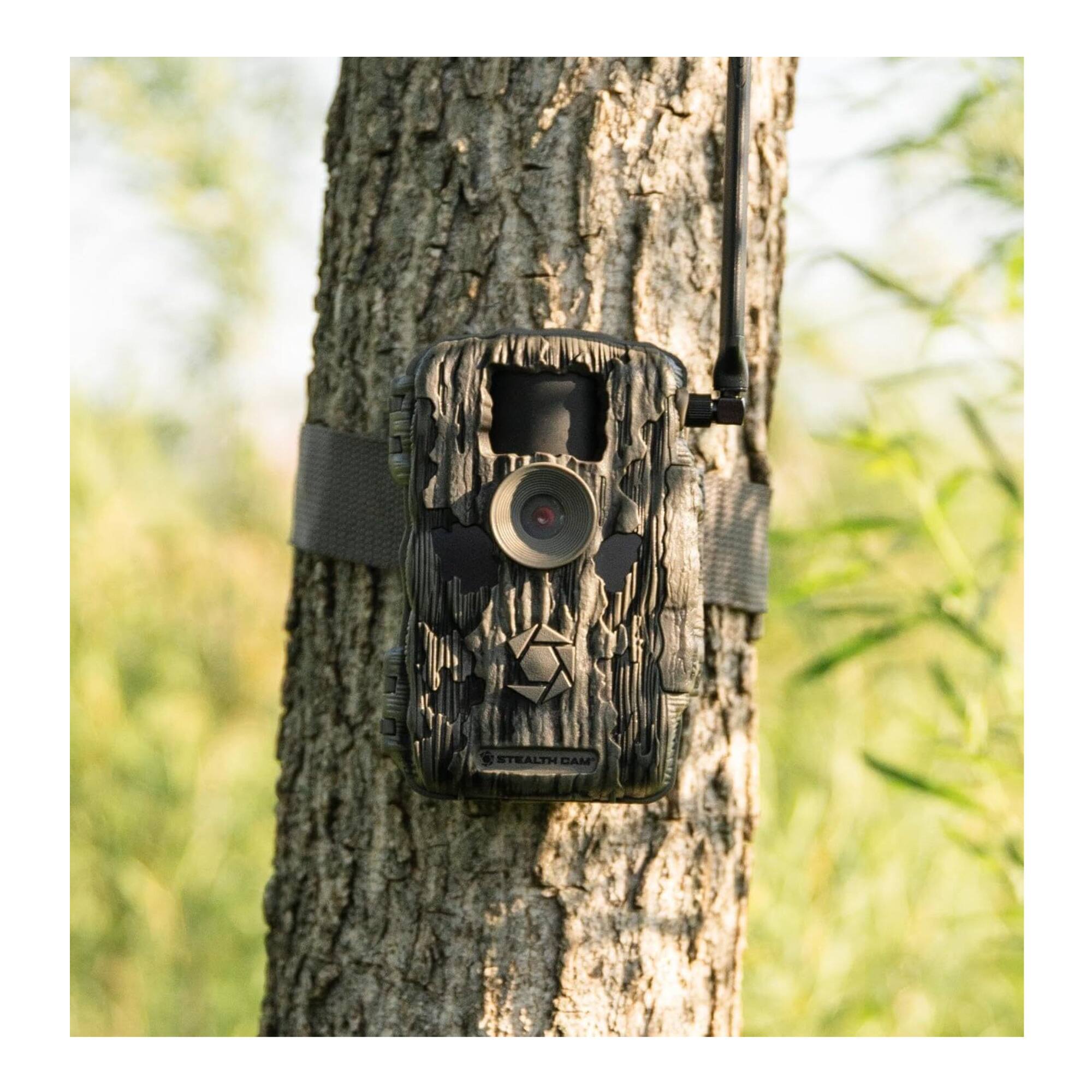 STEALTH CAM
