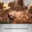 Third-Person Action Adventure