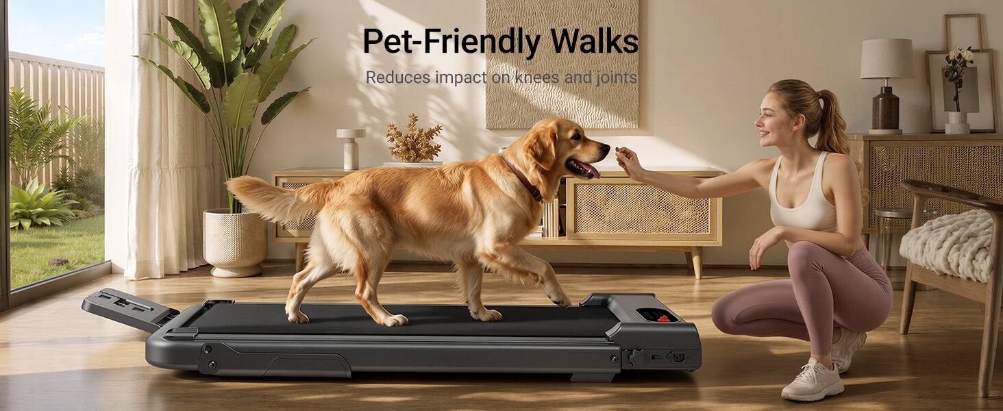 Pet-Friendly Walks  
Reduces impact on knees and joints
