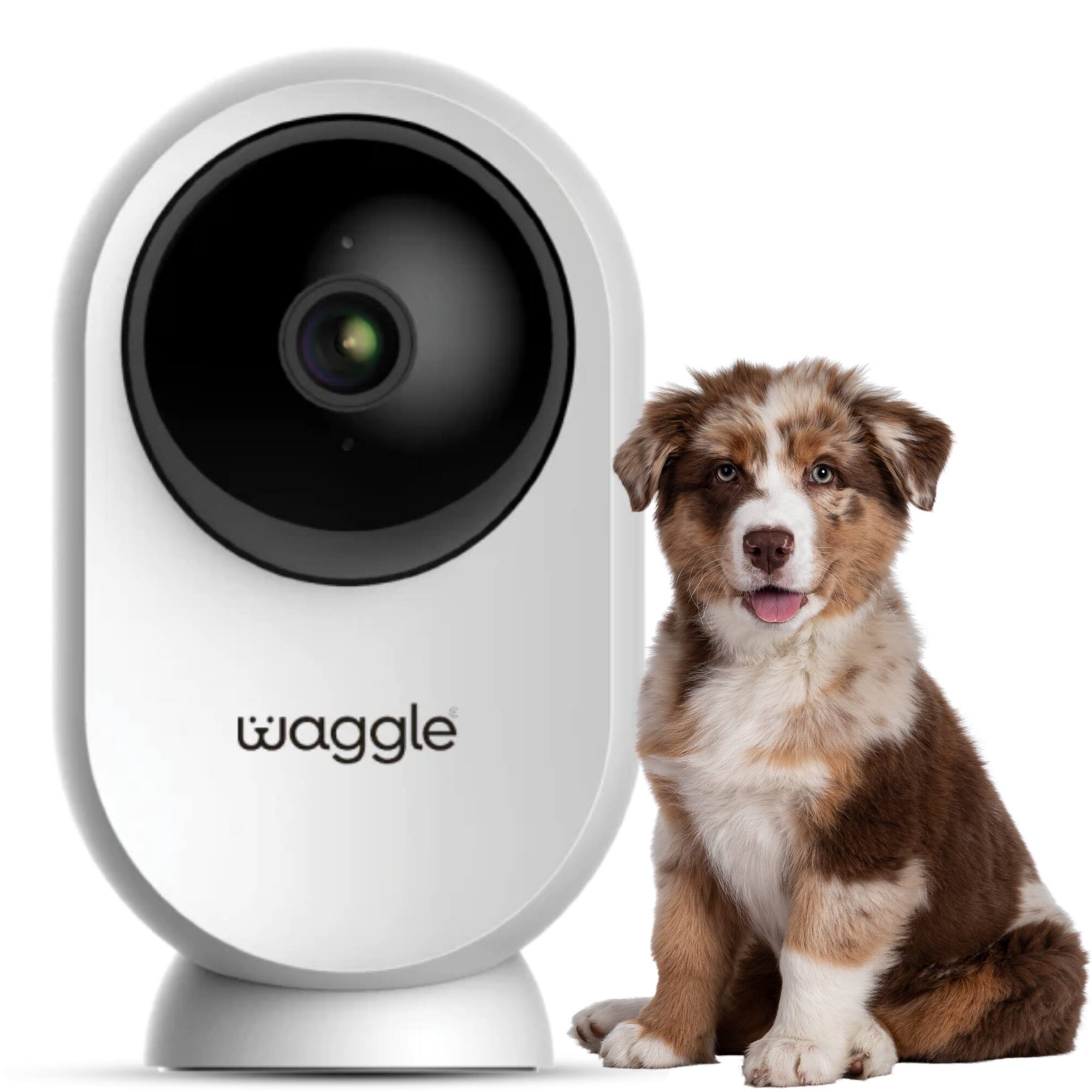 Waggle - RV Mini Camera - 1080p HD Security Cam for RVs, 128GB SD 2-Way Audio Night Vision Motion Detect WiFi Sub Required price history on PriceWatchPro