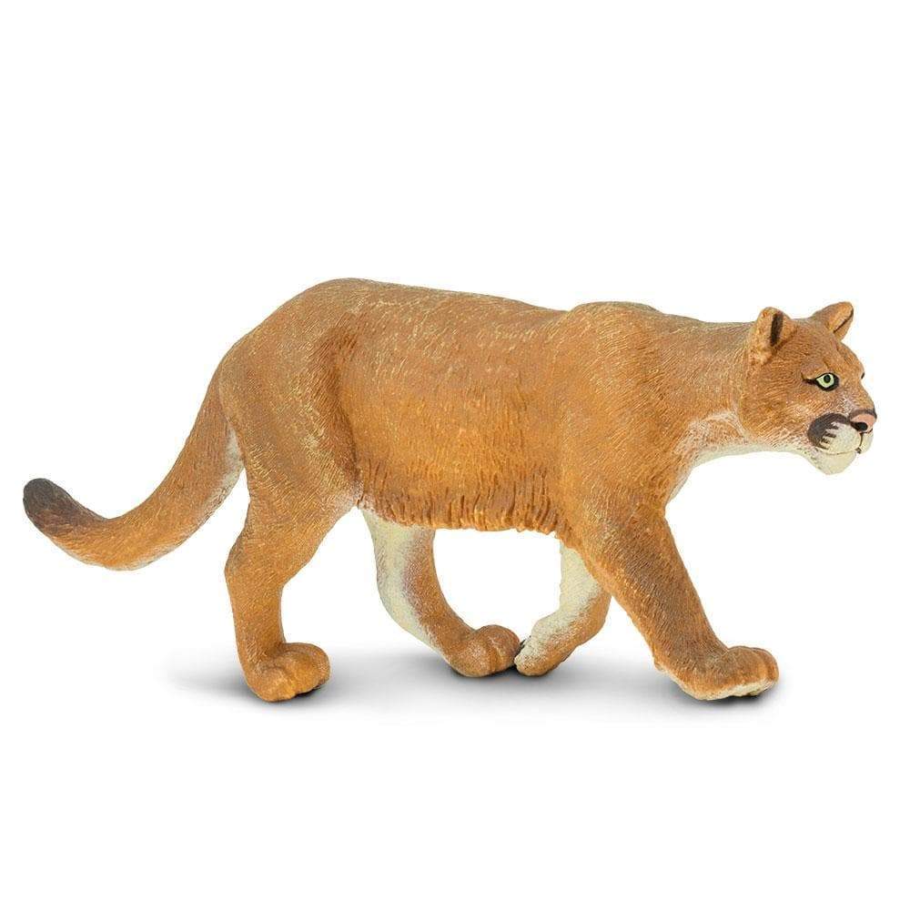 Safari Ltd Loup Gris 11.6cm | Figurine Animalière | Très Grande Taille