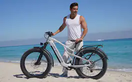 Vanpowers - GrandTeton Pro Adult 26" Step-Over 750W Hub Motor E-Bike - Galaxy Silver