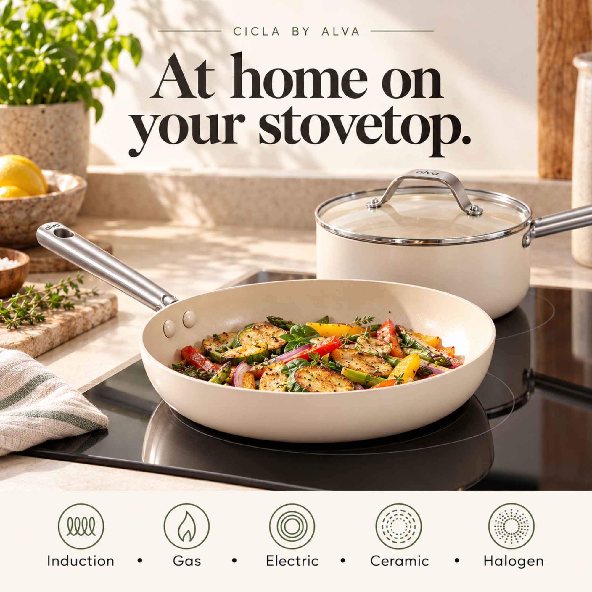 CICLA BY ALVA  
At home on your stovetop.  

Induction  
Gas  
Electric  
Ceramic  
Halogen