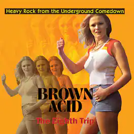 Various Artists - Brown Acid - The Eighth Trip (Various Artists) - VINYL LP