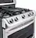 Alt View 13. LG - 6.9 Cu. Ft. Freestanding Double Oven Gas True Convection Range with EasyClean and UltraHeat Power Burner - Stainless steel.