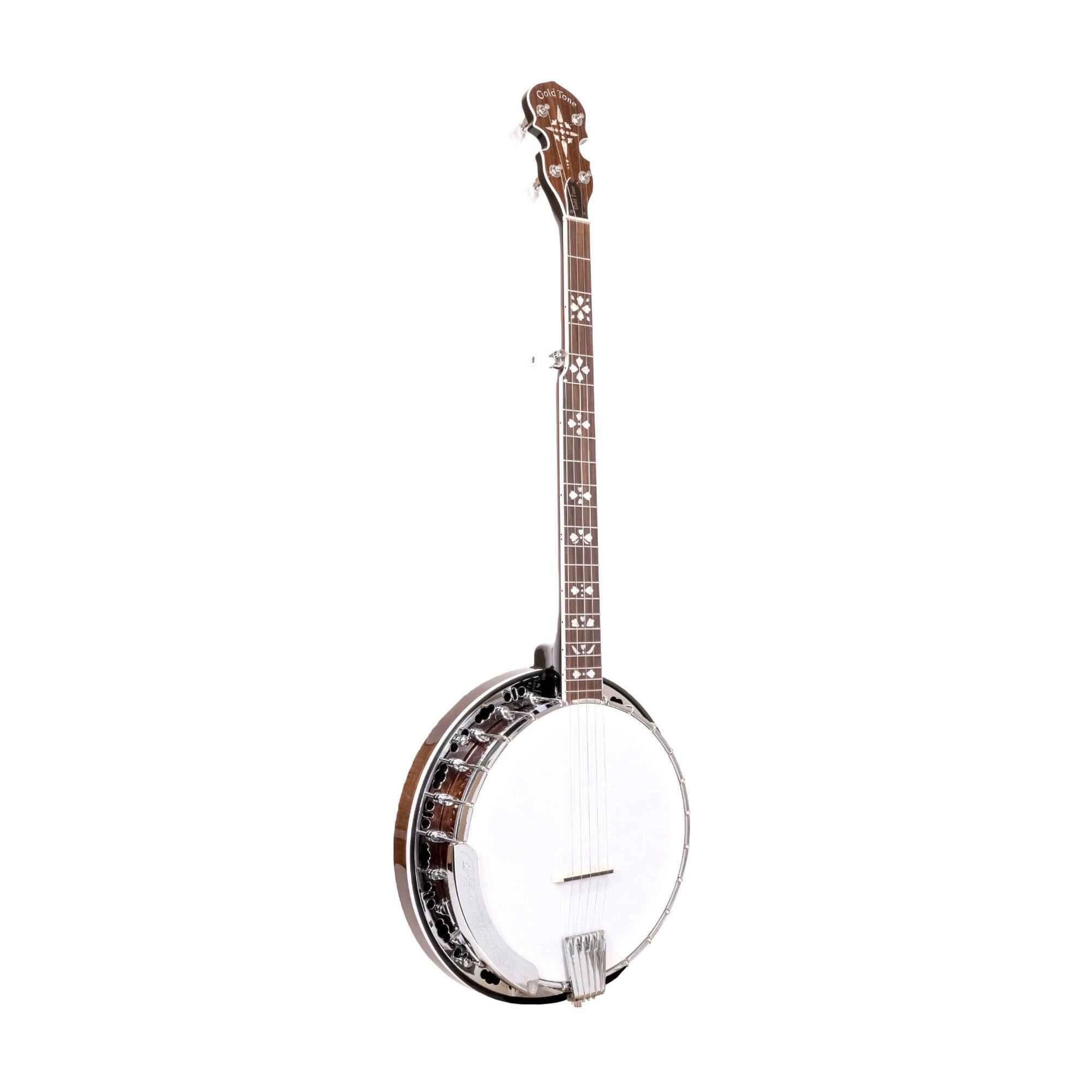 Angle. Gold Tone - Gold Tone BG-150F: Bluegrass Banjo with Flange and Bag (Vintage Brown).