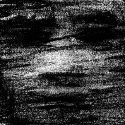 Front. Born Erased - Birds Drink My Blood - COMPACT DISCS.