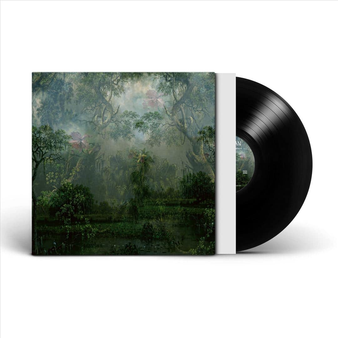 The Coloured Breeze Is a New Dimension [LP] [VINYL]