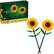 Sunflowers LEGO BOTANICALS
Budding der Enserbie - construction pcs/pzs
Sat - conatruccin | 40524 191 8+