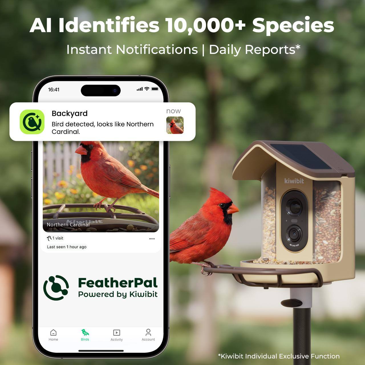 AI Identifies 10,000+ Species  
Instant Notifications | Daily Reports*  

16:41  
Backyard  
Bird detected, looks like Northern Cardinal.  

now  
Kwipit  
Northern Cardinal  
1 visit  
Last seen 1 hour ago  

FeatherPal  
Powered by Kiwibit  

*Kiwibit Individual Exclusive Function