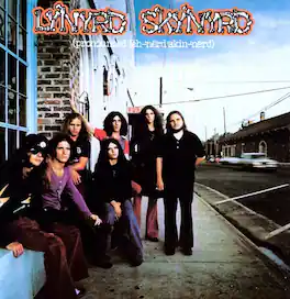 Lynyrd Skynyrd - (pronounced 'leh-'nérd 'skin-'nérd) - VINYL LP