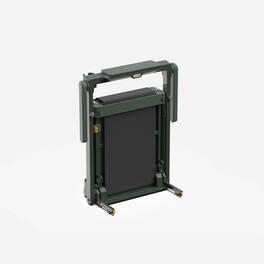 WalkingPad - MX10 VERTICAL FOLD TREADMILL - Green
