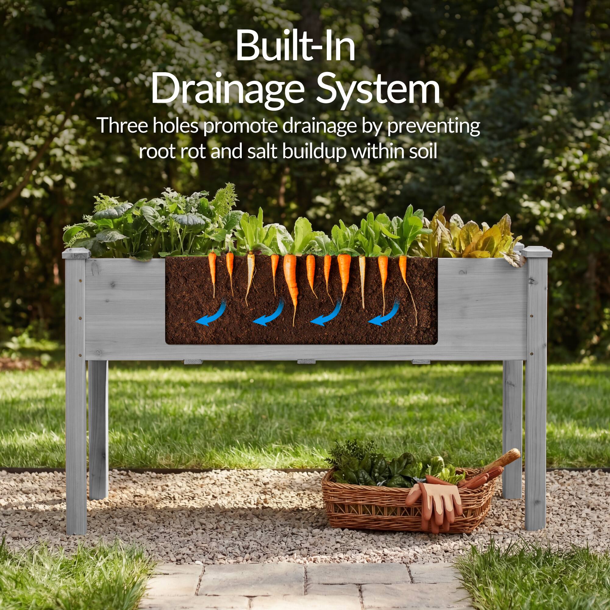 Built-In Drainage System  
Three holes promote drainage by preventing root rot and salt buildup within soil