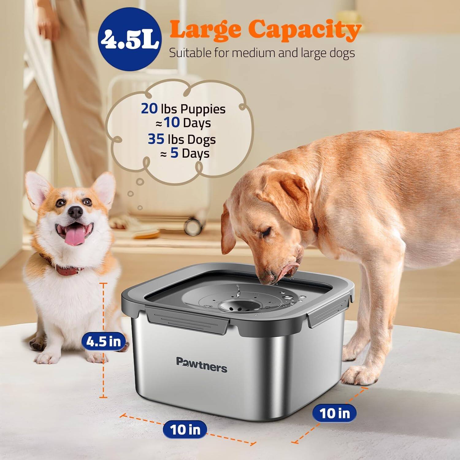 4.5L Large Capacity  
Suitable for medium and large dogs  

20 lbs Puppies ≈ 10 Days  
35 lbs Dogs ≈ 5 Days  

4.5 in  
10 in  
10 in