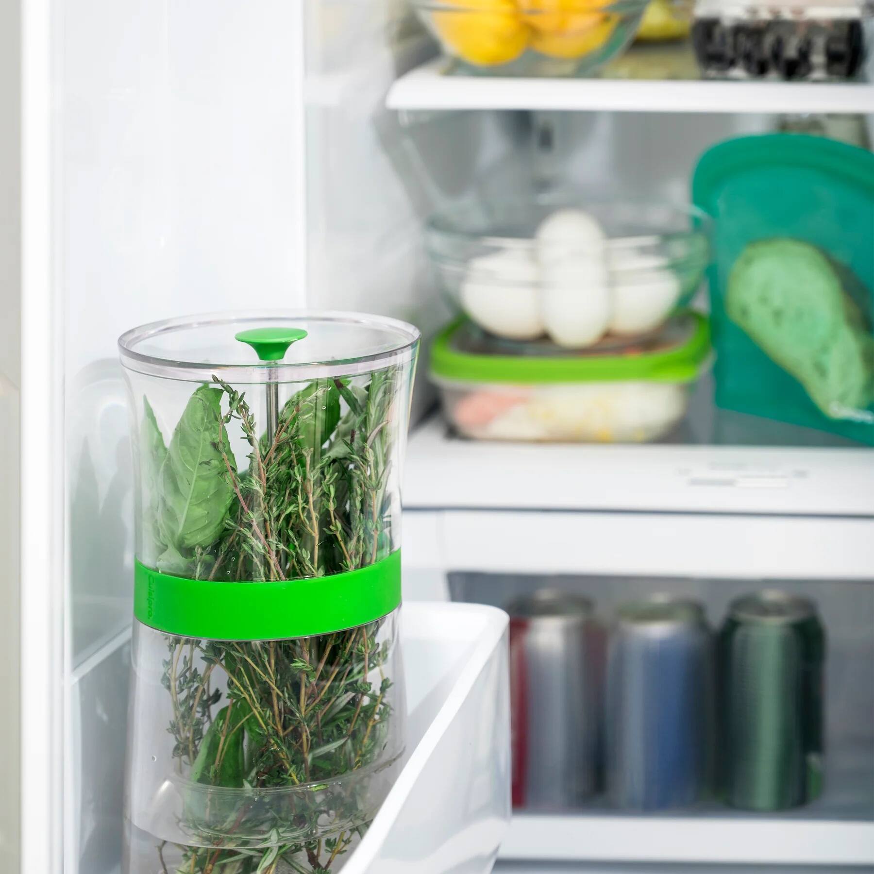 Alt View 6. Cuisipro - Original Herb Keeper Keeps Herbs Fresh Storage Container - Green.
