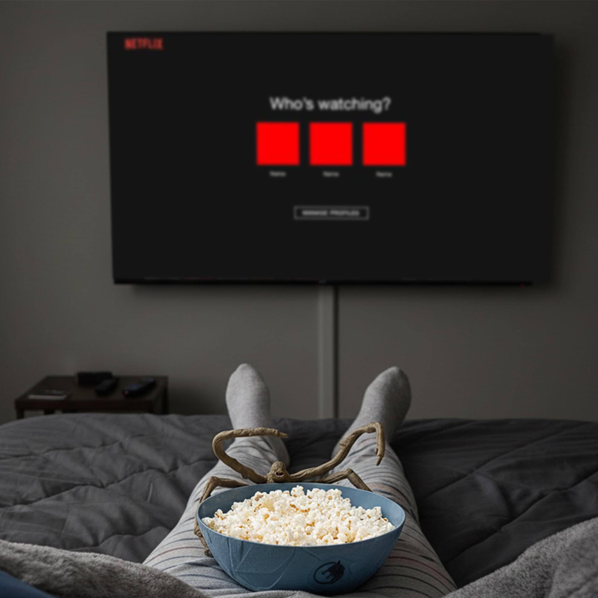 NETFLIX  
Who's watching?