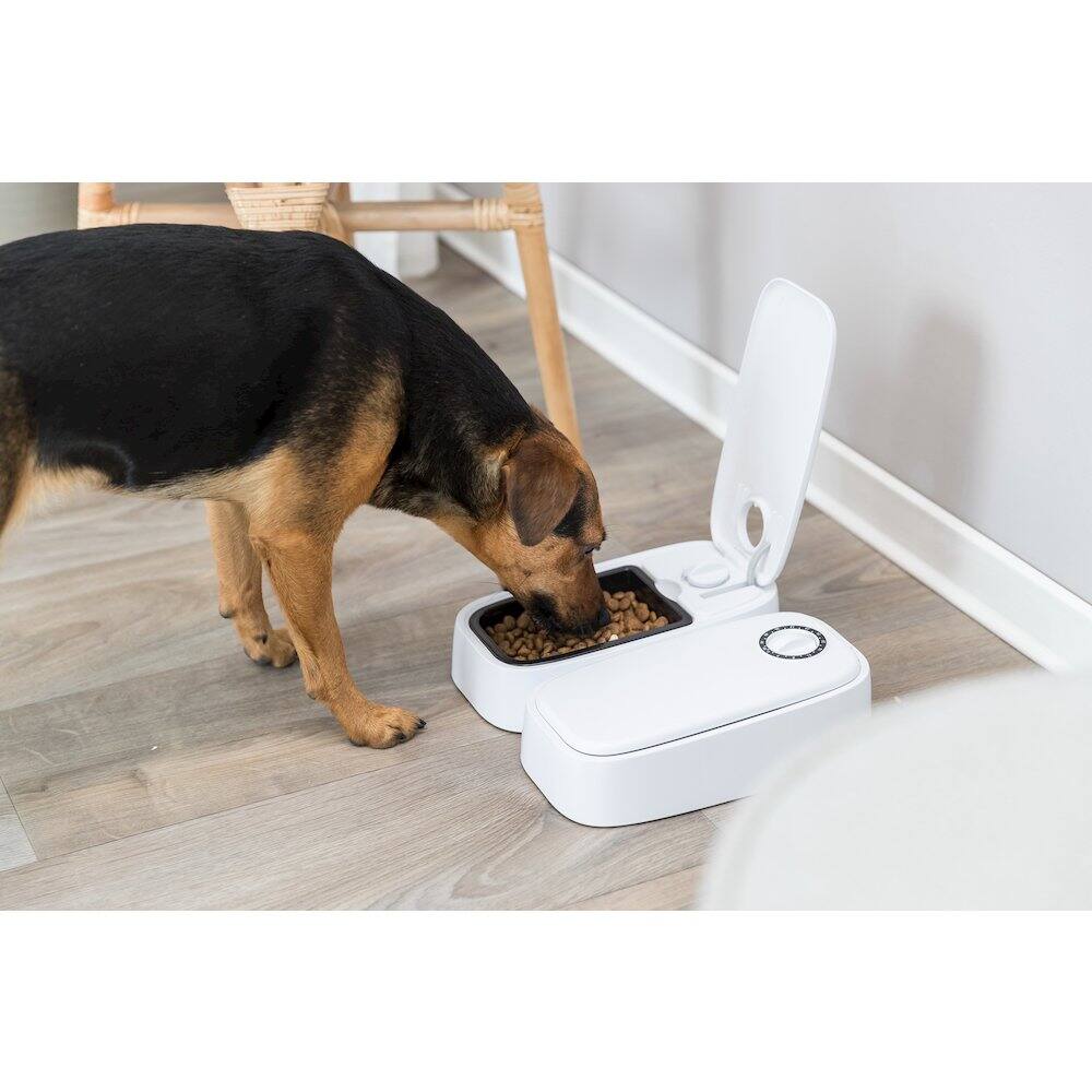 Alt View 2. TRIXIE - TX2 Automatic Food Dispenser, Two Timers and Bowls, 48 Hr Timer - White.