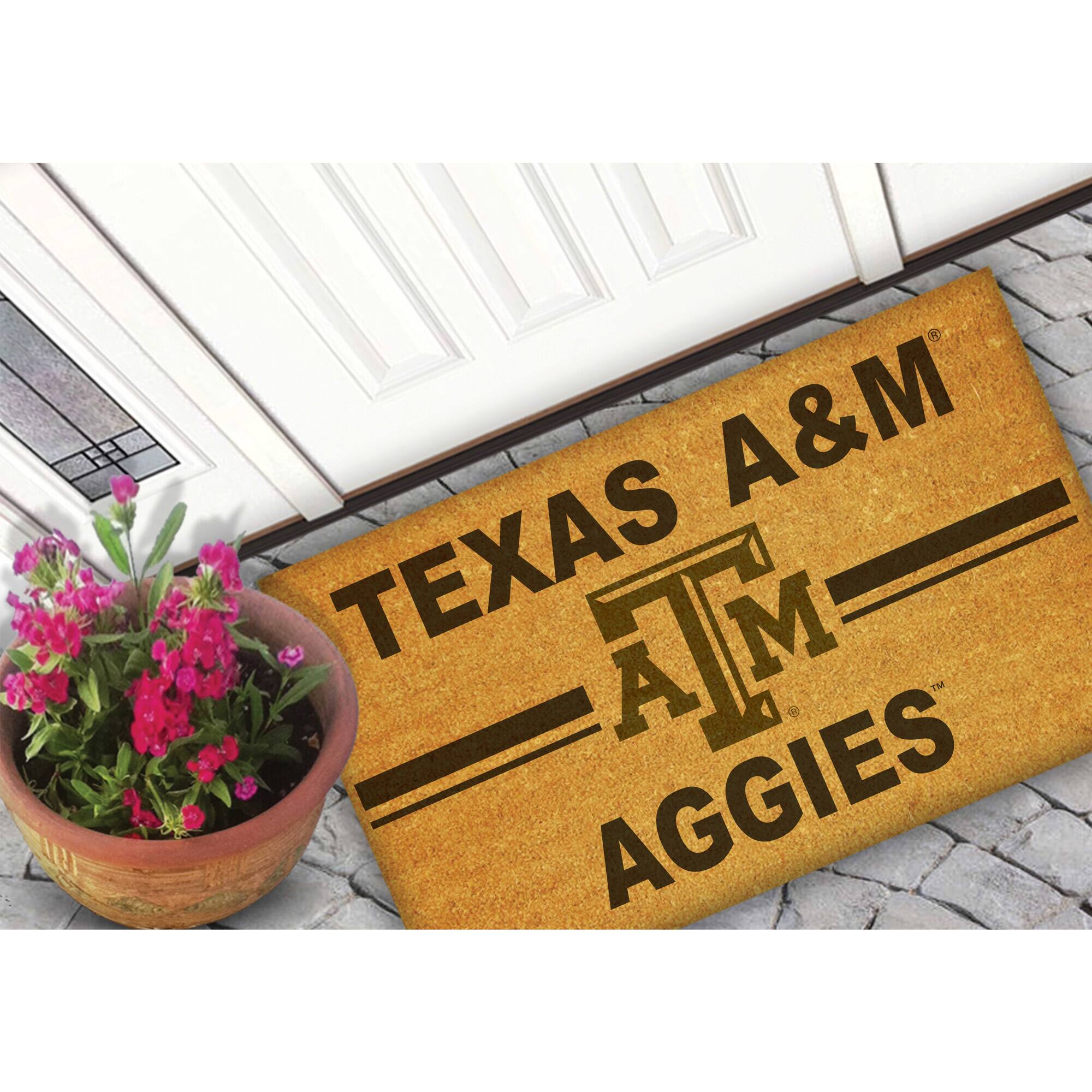 TEXAS A&M  
AGGIES