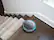 Alt View 14. BISSELL - SmartClean 1605 Self-Charging Robot Vacuum - Titanium/Disco Teal.