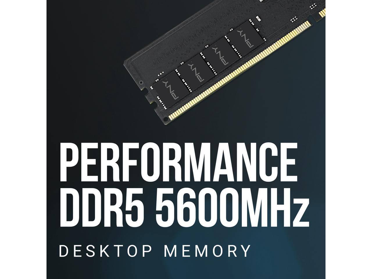PNY PNY PNY PNY PERFORMANCE DDR5 5600MHz DESKTOP MEMORY