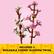 INCLUDES 2 BUILDABLE CHERRY BLOSSOM TWIGS