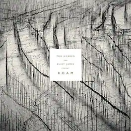 Tom Hobden - Present: Roam - VINYL LP