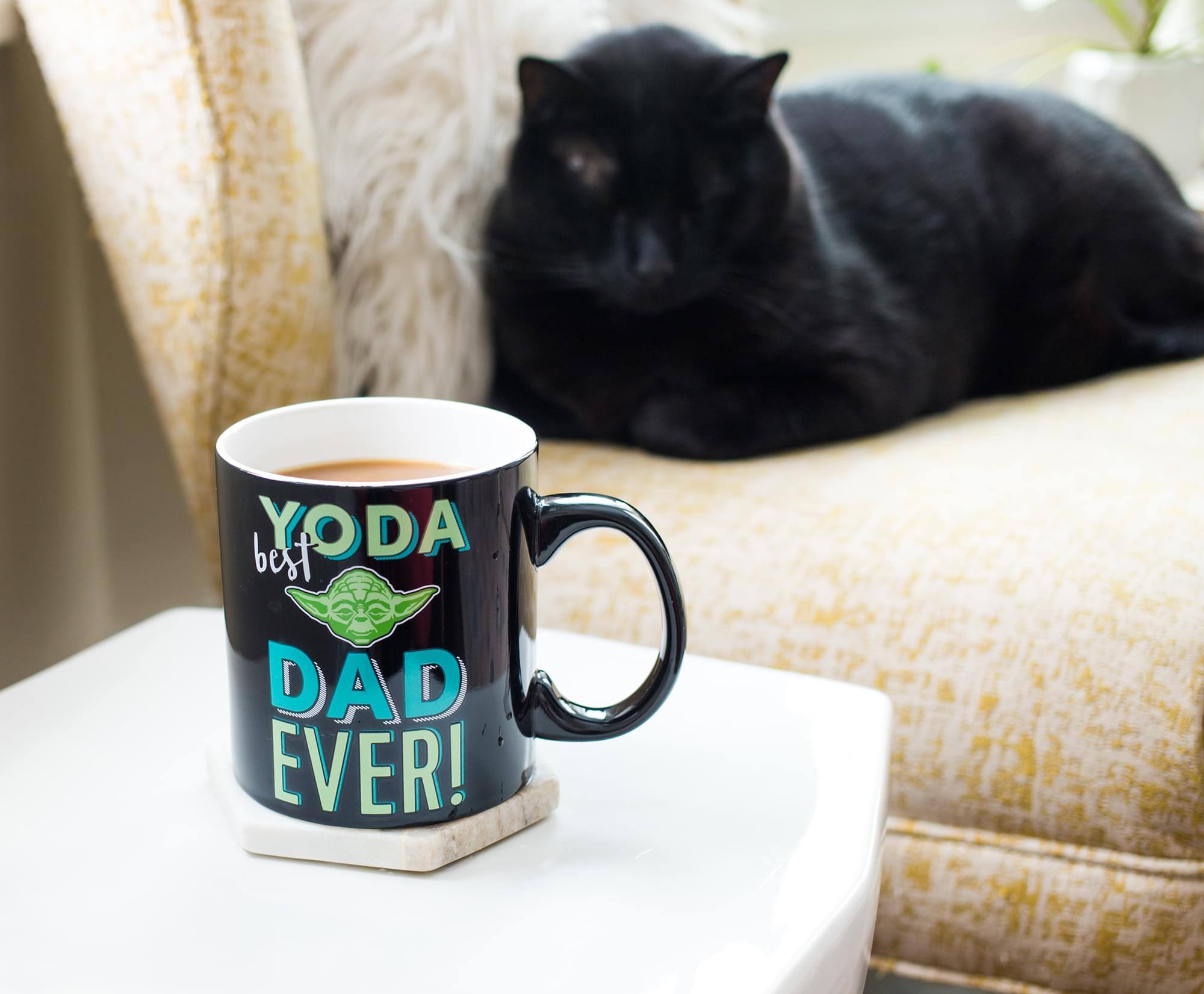 best YODA DAD EVER!