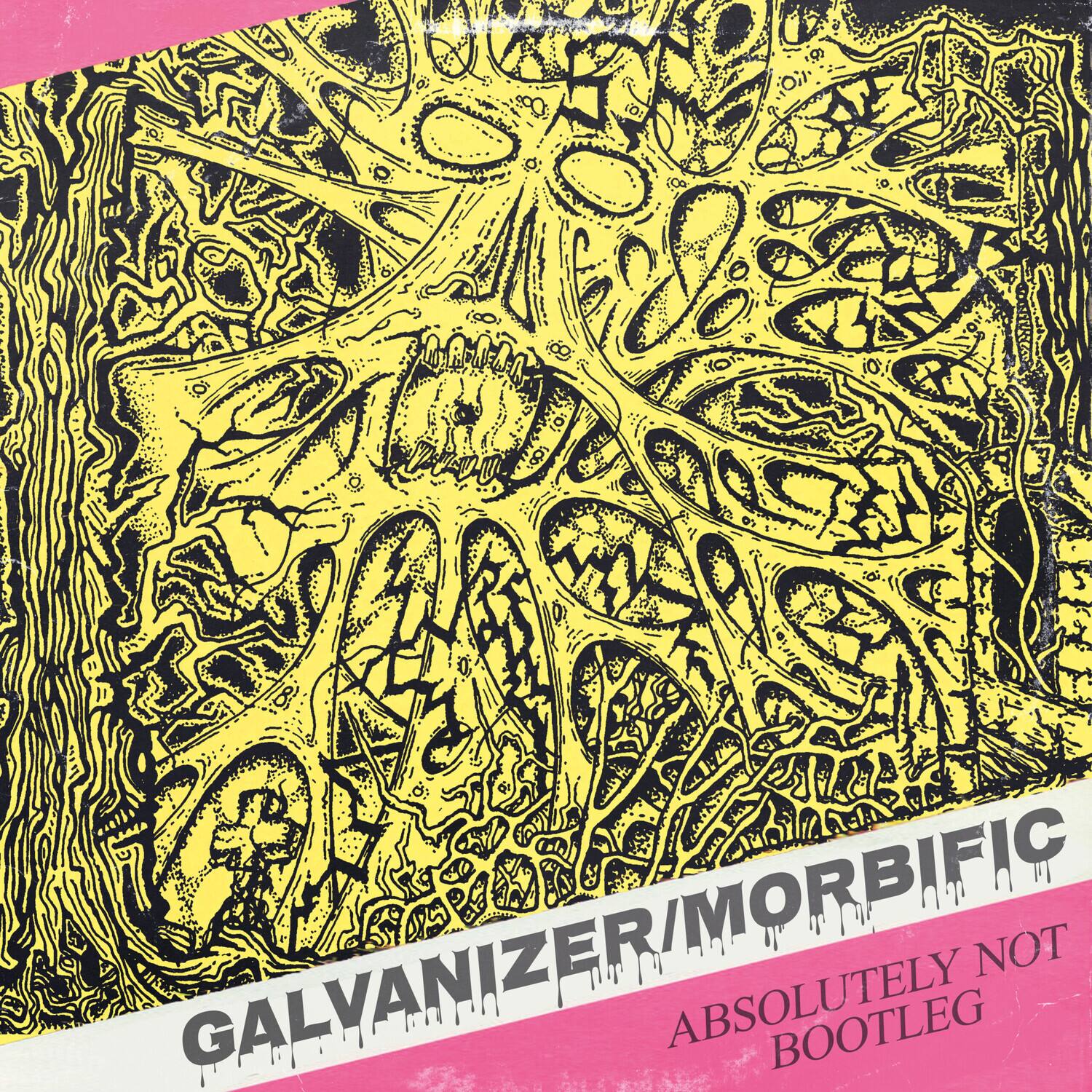 GALVANIZER/MORBIFIC  
ABSOLUTELY NOT BOOTLEG