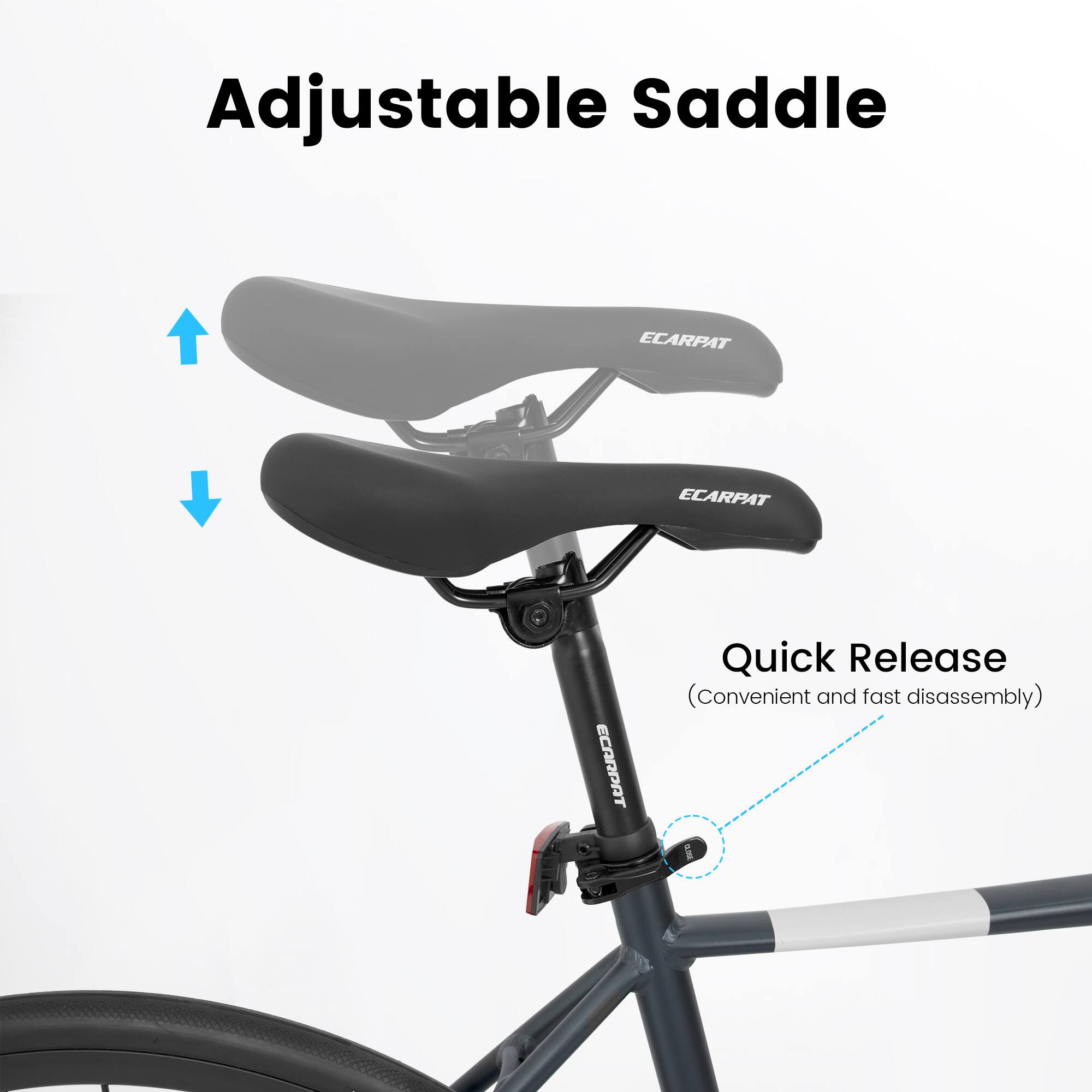 Adjustable Saddle

Quick Release (Convenient and fast disassembly)