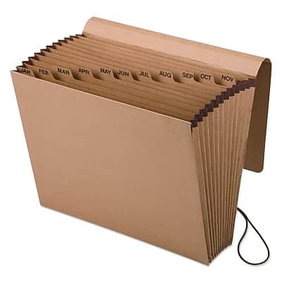 Photos - File Folder / Lever Arch File Pendaflex  Reinforced Accordion File, Monthly Index, 12 Pocket, Letter Size - Redrope K17MOX 