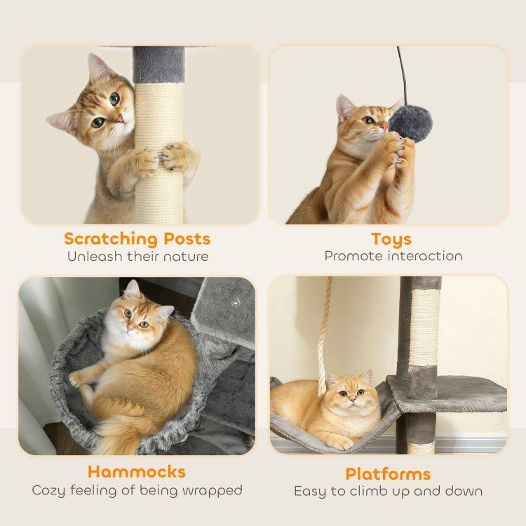 Scratching Posts: Unleash their nature  
Toys: Promote interaction  
Hammocks: Cozy feeling of being wrapped  
Platforms: Easy to climb up and down