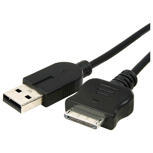 Best Buy: eForCity USB 2-in-1 Hotsync Charging With Sony PSP Go