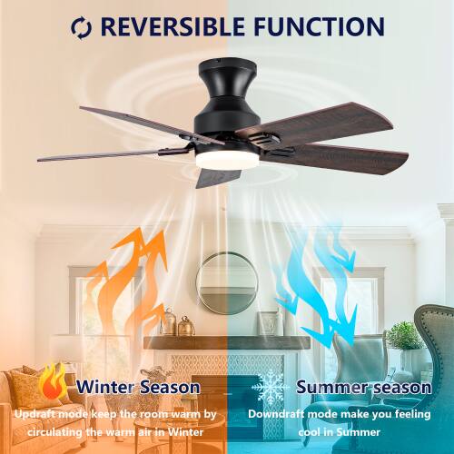 REVERSIBLE FUNCTION

Winter Season
Updraft mode keeps the room warm by circulating the warm air in Winter

Summer Season
Downdraft mode makes you feel cool in Summer
