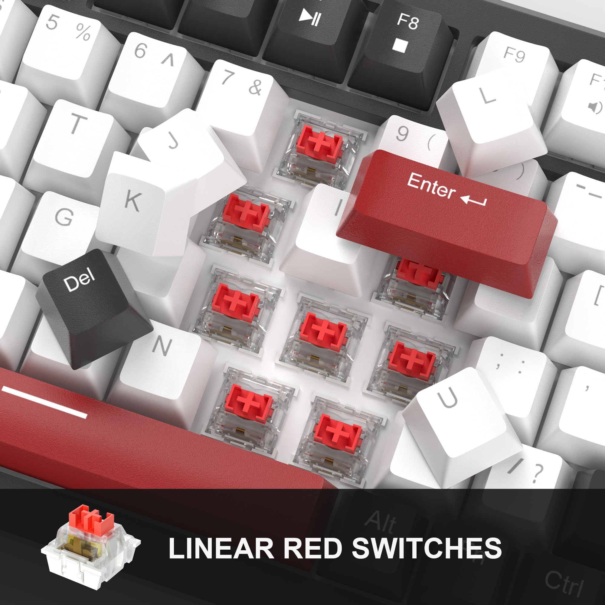 5 % 6 ^ 7 & T G K Enter F Del + [ N + U + I ? Alt LINEAR RED SWITCHES Ctrl