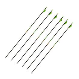 Gold Tip - Hunter XT Arrows 340 with 2-Inch Raptor Vane (Pack of 6)