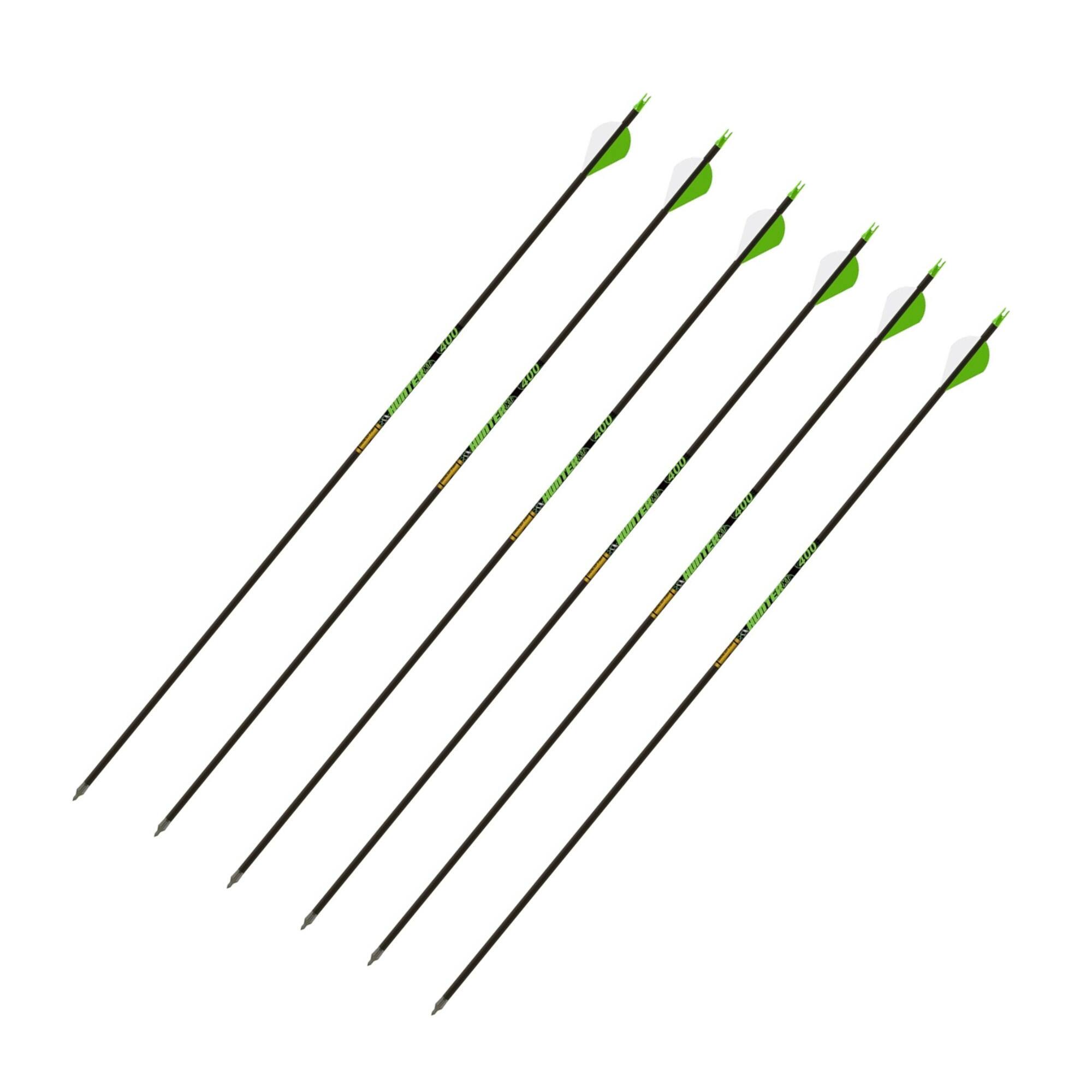 Front. Gold Tip - Gold Tip Hunter XT Arrows 340 with 2-Inch Raptor Vane (Pack of 6).