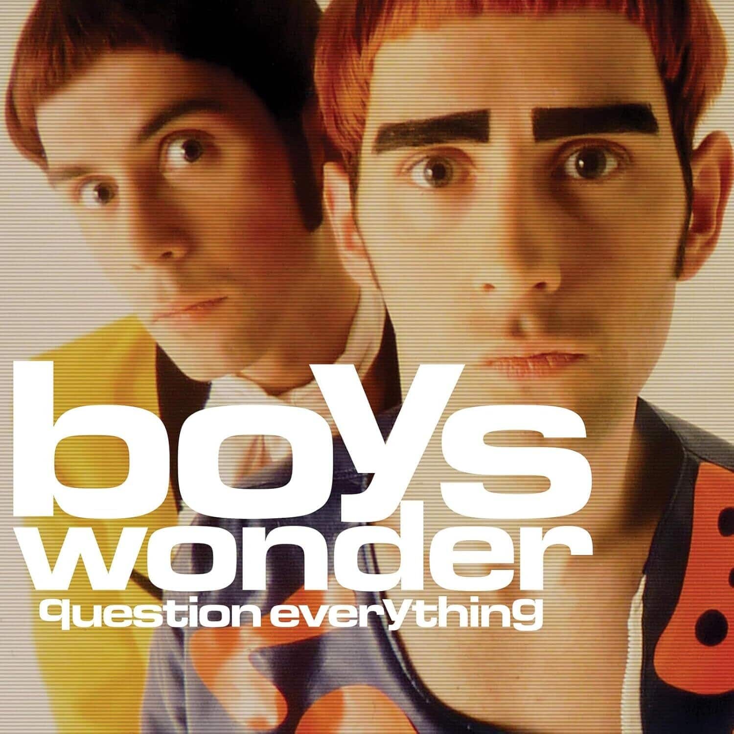 Boys Wonder - Question Everything   - VINYL LP price history on PriceWatchPro