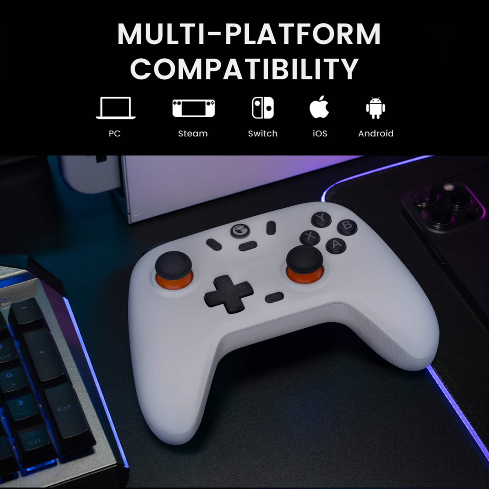 MULTI-PLATFORM COMPATIBILITY PC, Steam, Switch, iOS, Android.