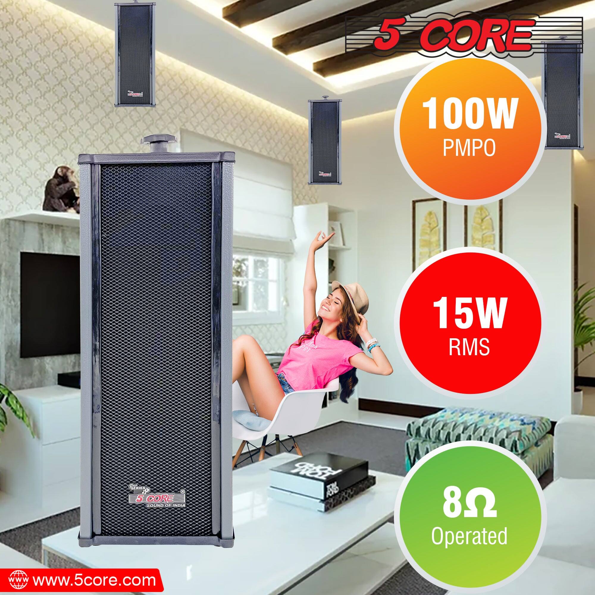 5 CORE  
100W PMPO  
15W RMS  
8Ω Operated  

www.5core.com