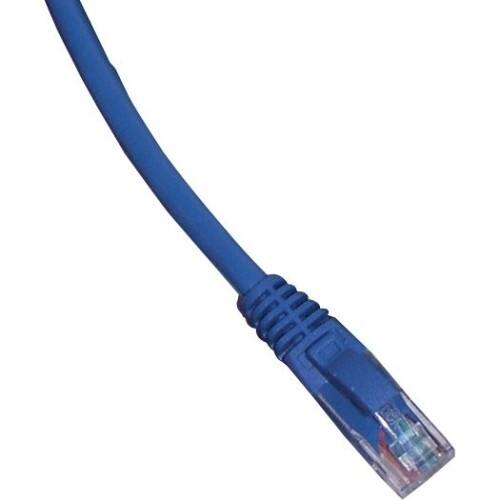 Front Standard. GoldX - DataPlus Cat.6 UTP Patch Cable - Blue.