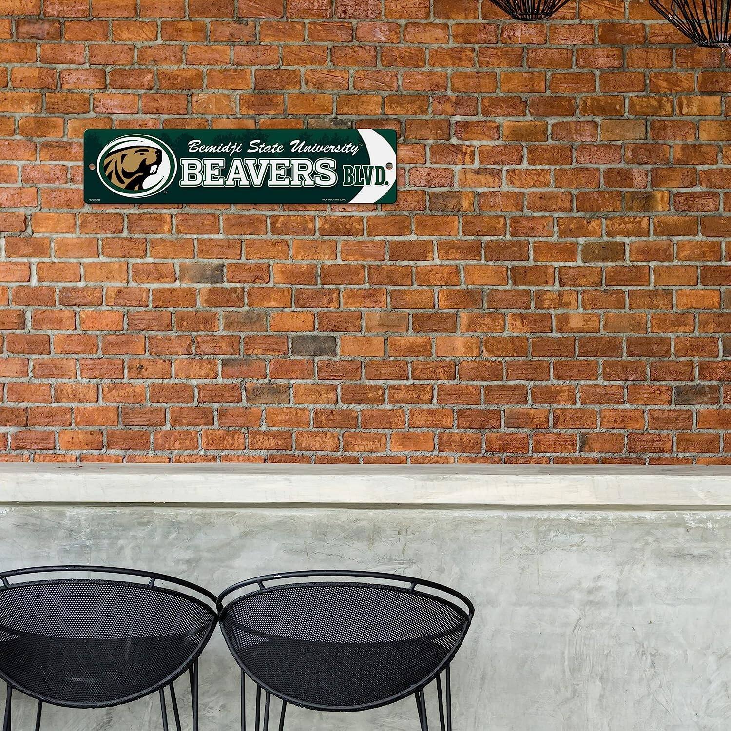 Bemidji State University  
BEAVERS BLVD.