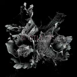 Spotlights - Love and Decay - VINYL LP