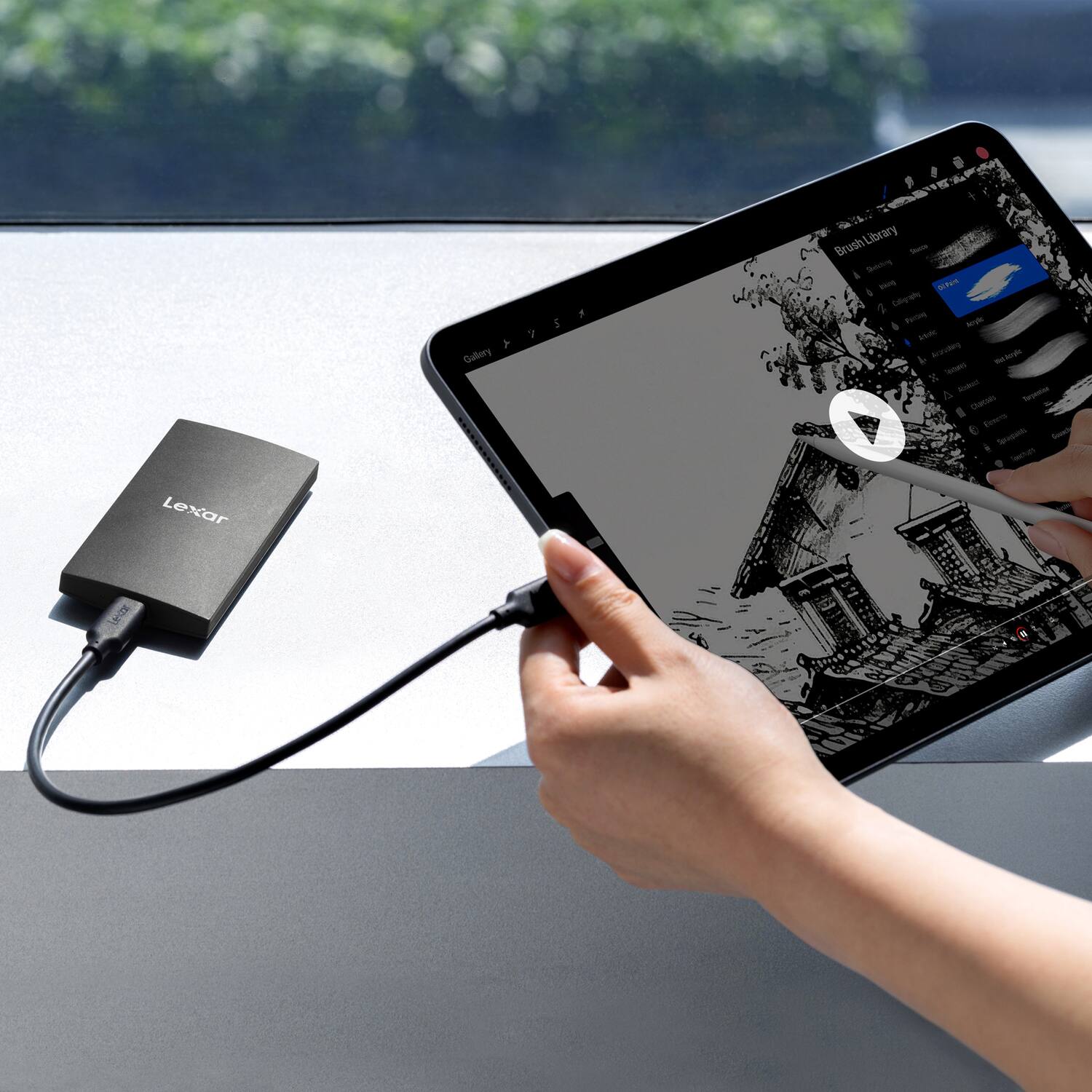 1. Gallery Library Brush So - Lexar