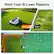 Meet Your AI Lawn Maestro: Carpet-like Lawn Go YUKA mini SS OTHER