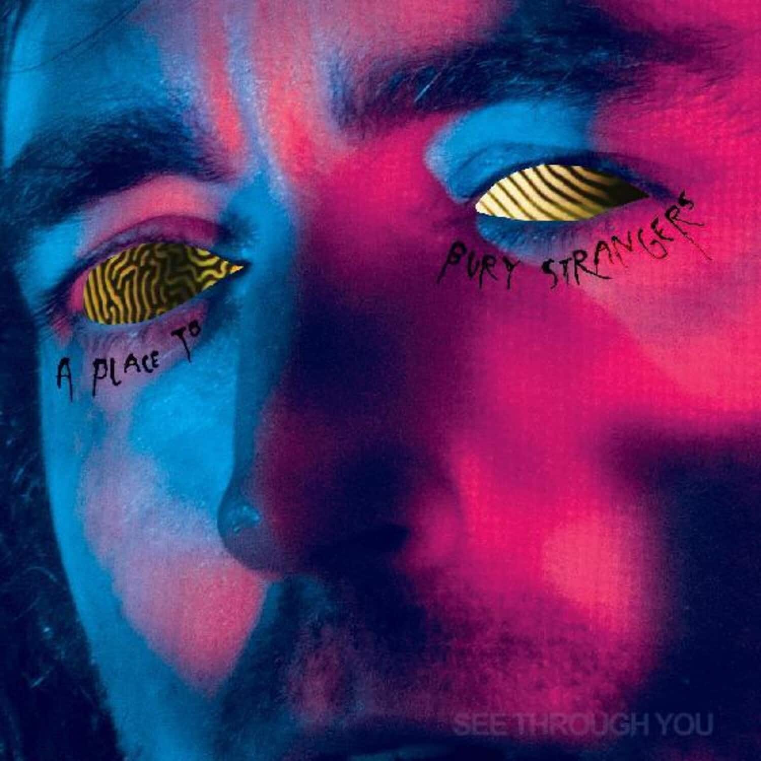Place to Bury Strangers - See Through You  - COMPACT DISCS [CD] price history on PriceWatchPro