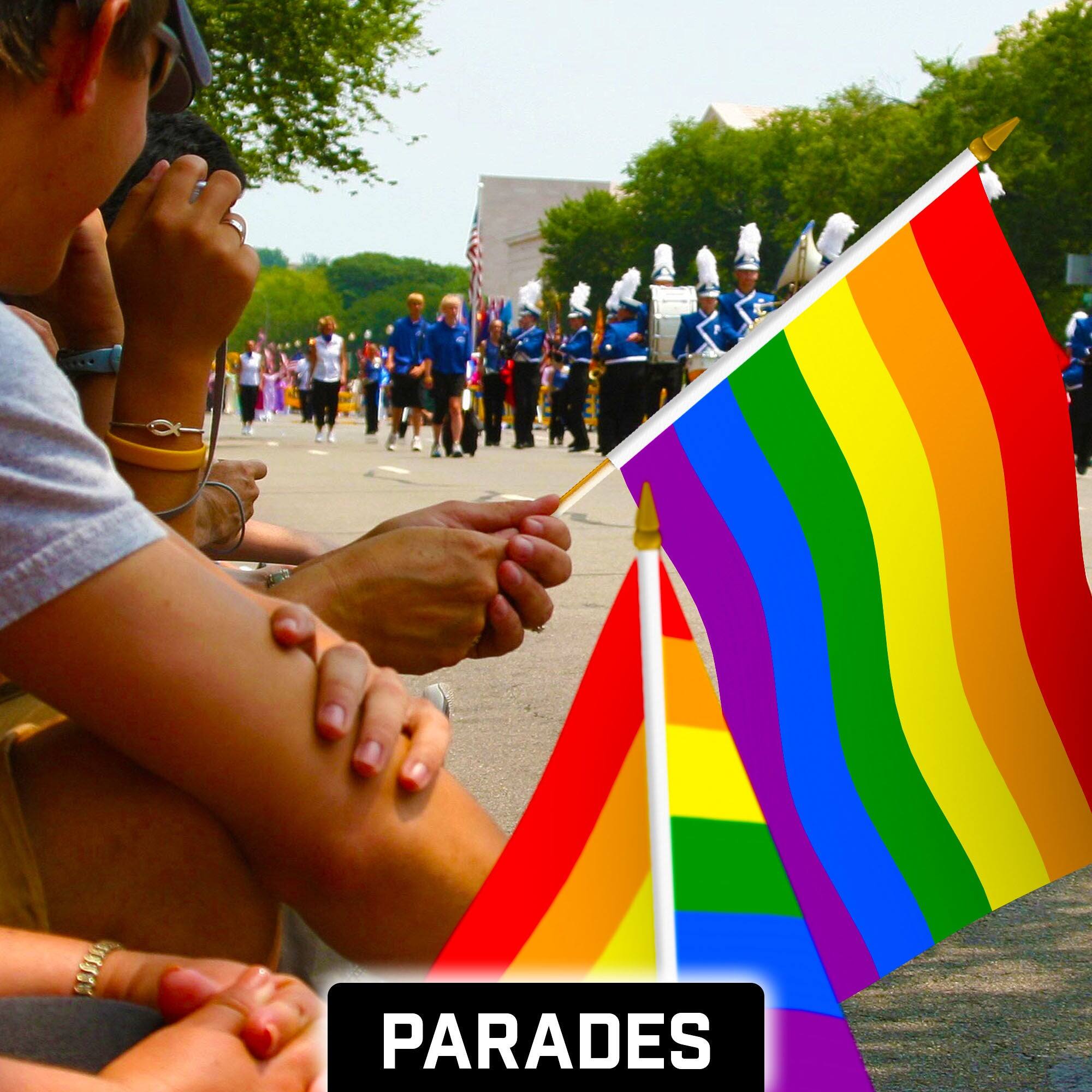 Alt View 1. G128 - 50 Pack Handheld Rainbow Pride Stick Flags 12x18 in 150D Polyester Wooden Stick Gold Spear Tip - Assorted Colors.